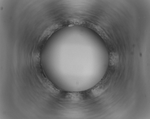 X0000088870713200706081215