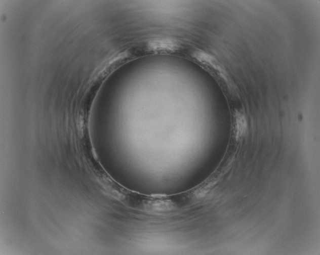 X0000088870716200706081215