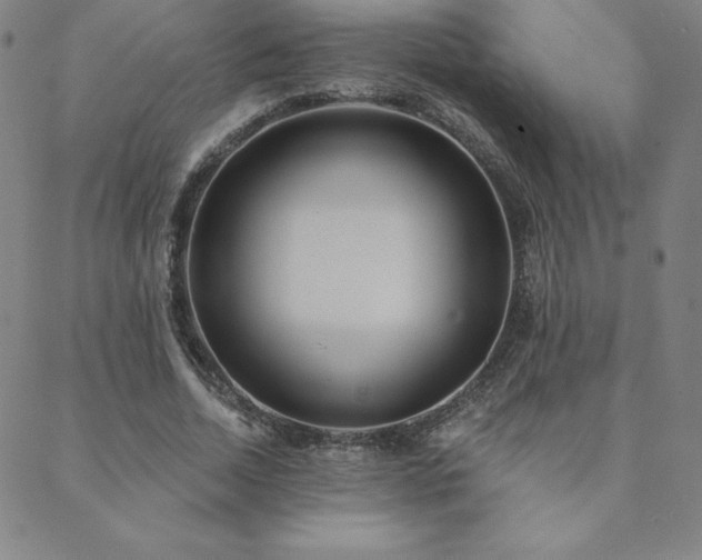 X0000088870730200706081215