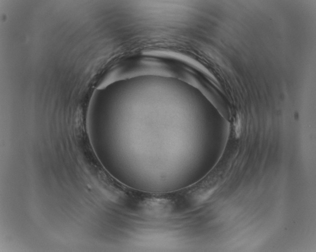 X0000088870748200706081215
