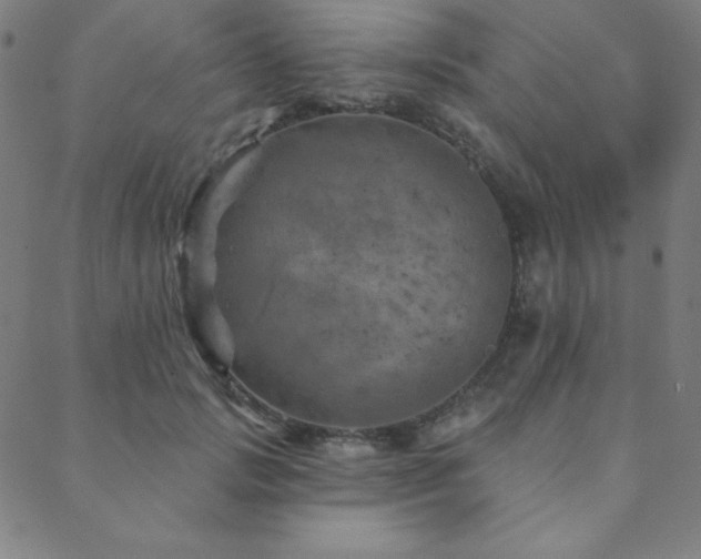X0000088870749200706081215