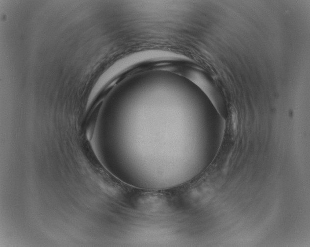 X0000088870750200706081215
