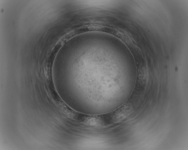 X0000088870755200706081215