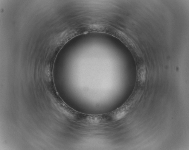 X0000088870764200706081215