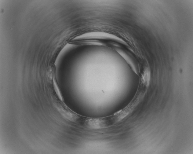 X0000088870766200706081215
