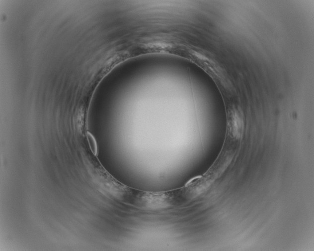 X0000088870767200706081215