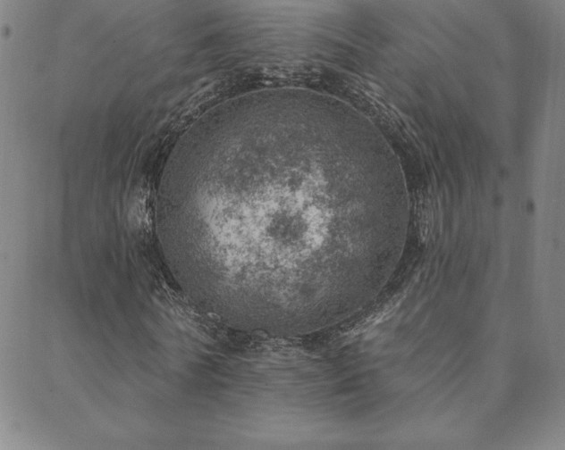 X0000088870770200706081215