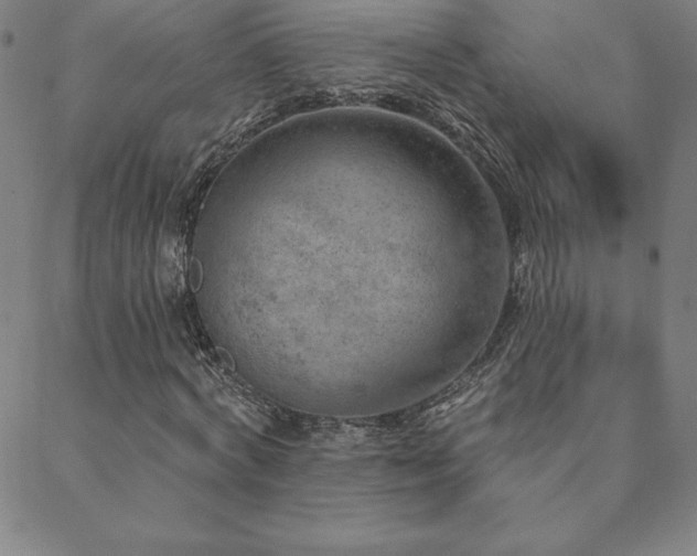 X0000088870772200706081215