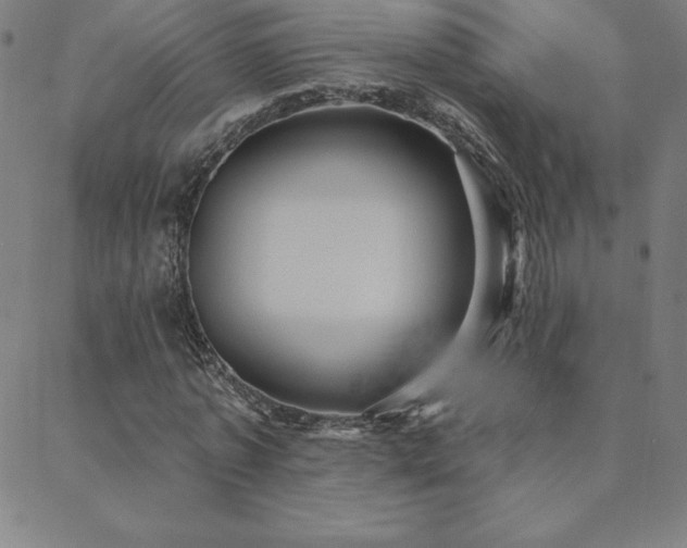 X0000088870773200706081215