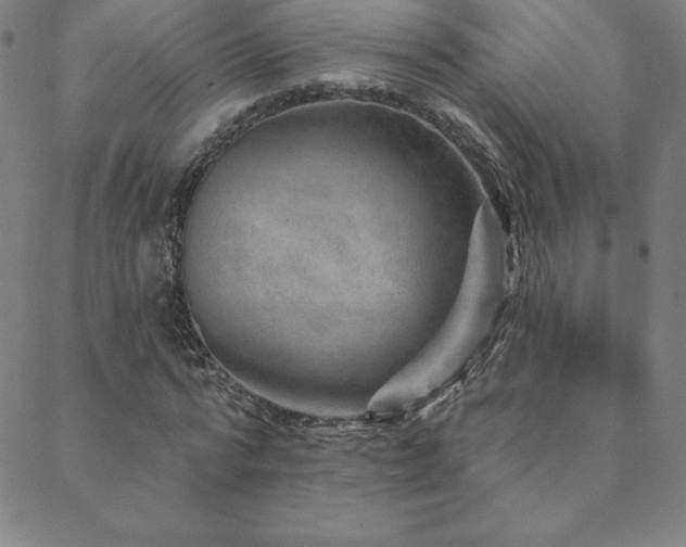 X0000088870776200706081214