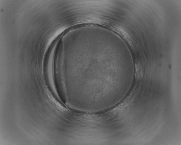 X0000088870780200706081214