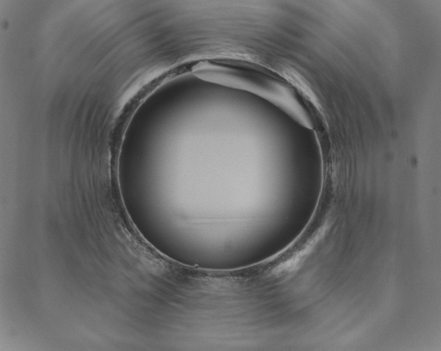 X0000088870781200706081214