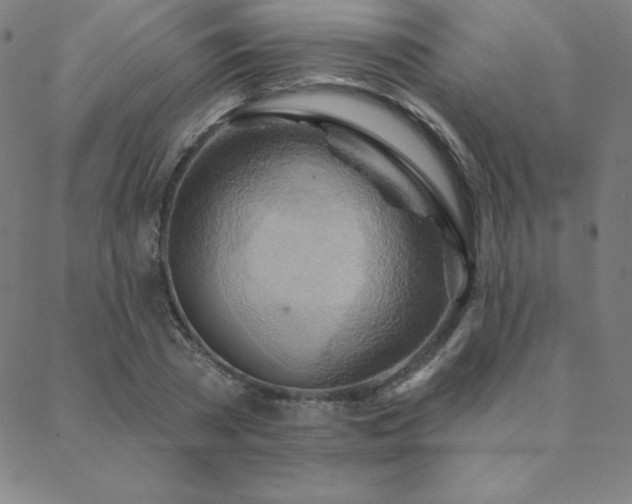 X0000088870785200706081214