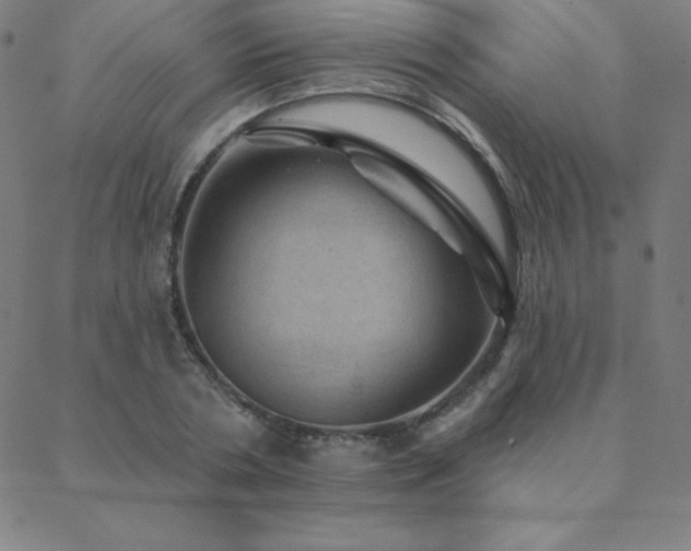 X0000088870786200706081214