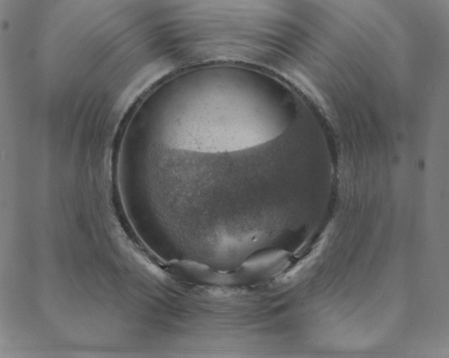 X0000088870790200706081214