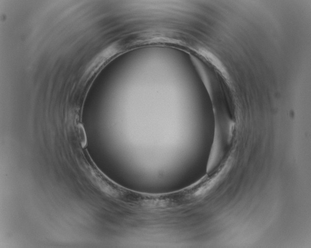 X0000088870793200706081214