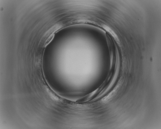 X0000088870801200706081214