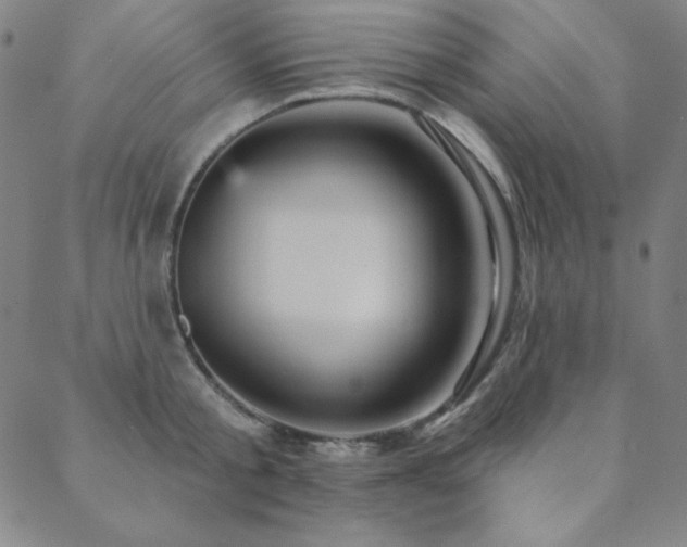 X0000088870805200706081214