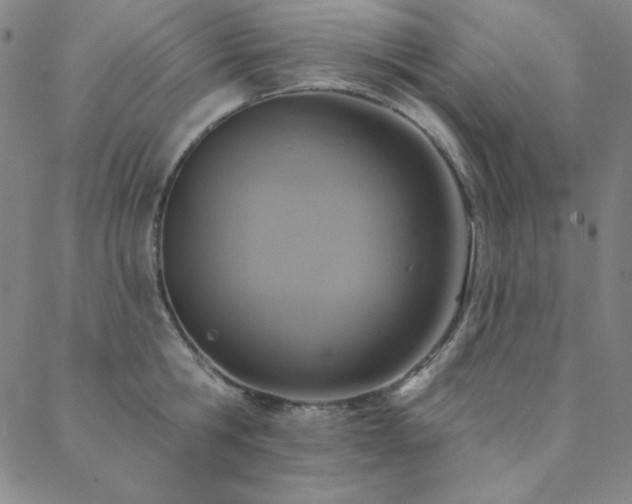 X0000088870806200706081214