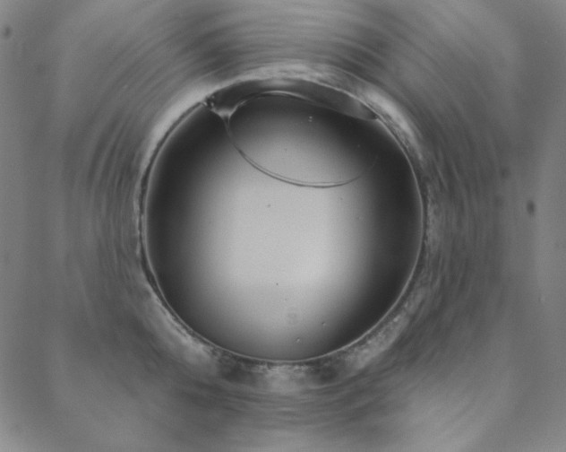 X0000088870808200706081214