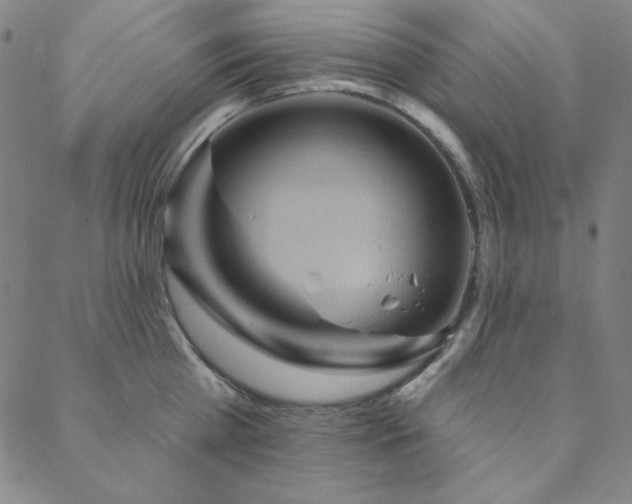 X0000088870809200706081214