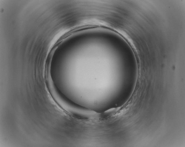 X0000088870815200706081214