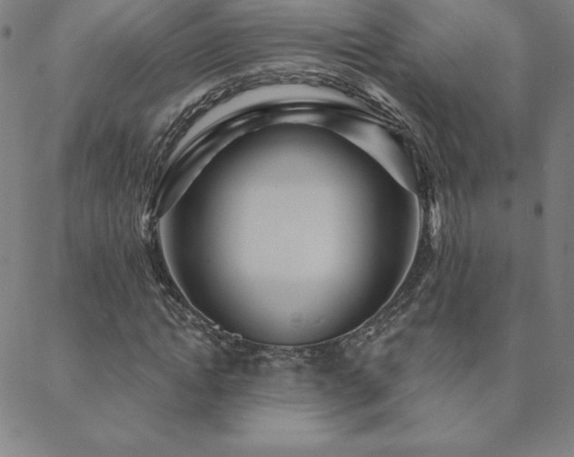 X0000088870822200706081213