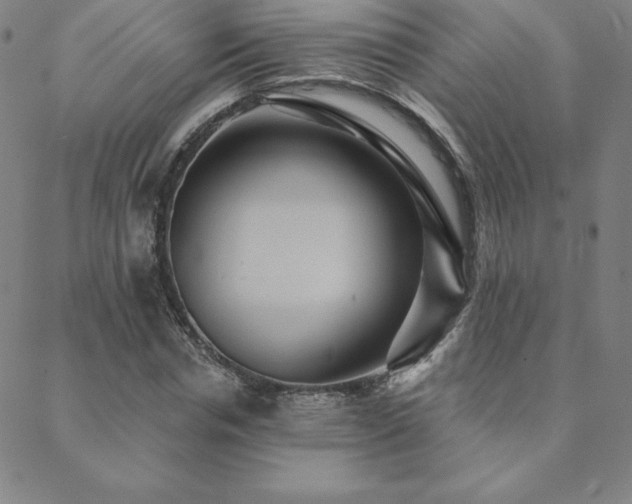 X0000088870826200706081213