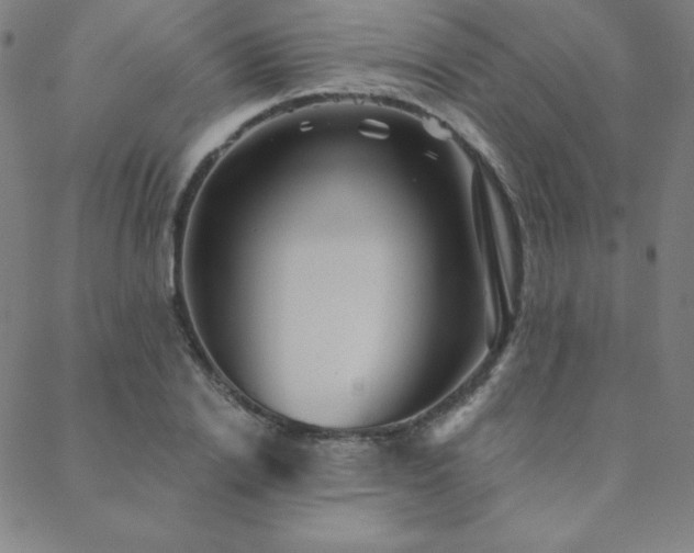 X0000088870838200706081213