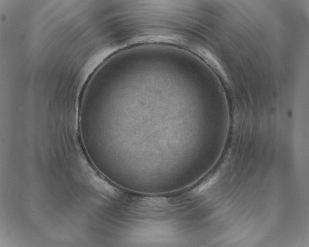 X0000088870844200706081213