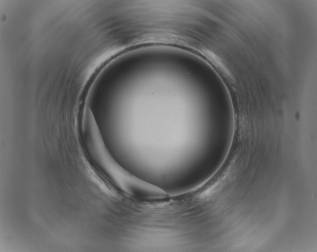 X0000088870846200706081214