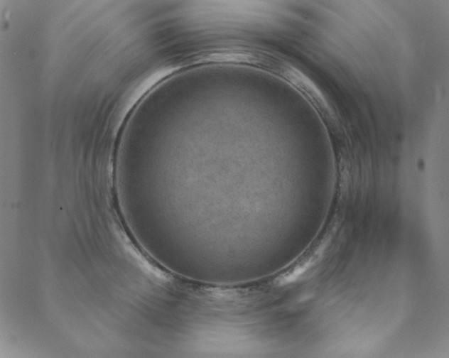 X0000088870852200706081214