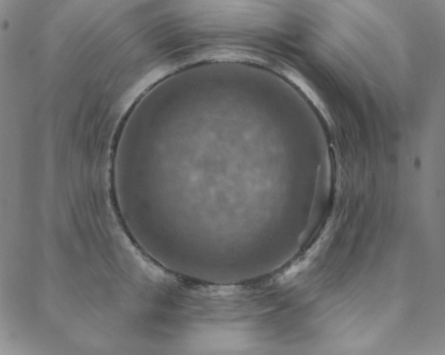 X0000088870853200706081214