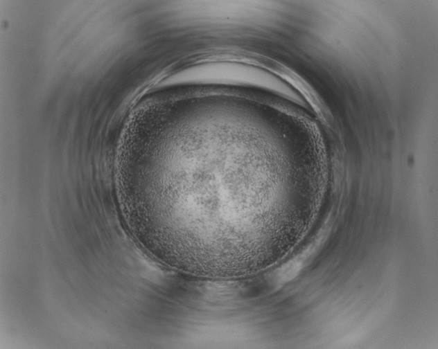 X0000088870857200706081214