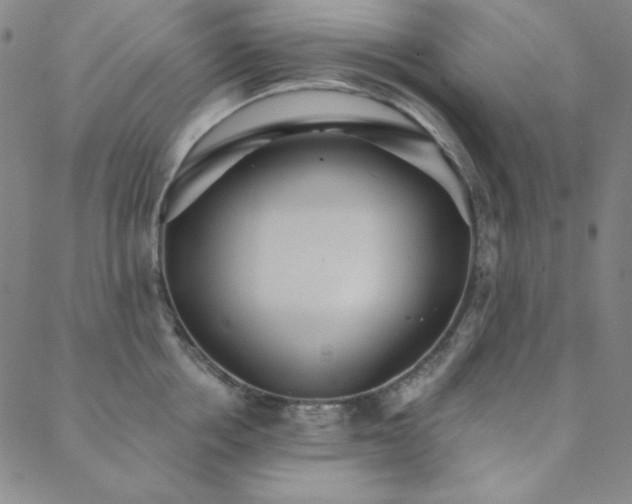 X0000088870858200706081214