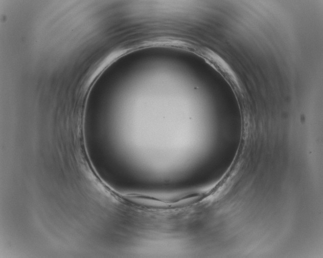 X0000088870860200706081214