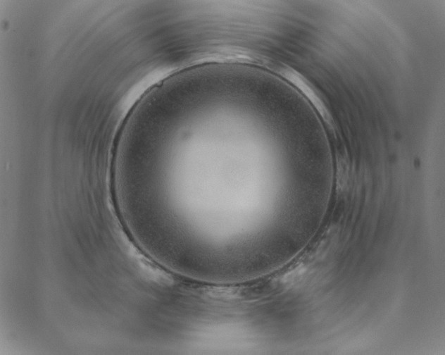 X0000088870861200706081214