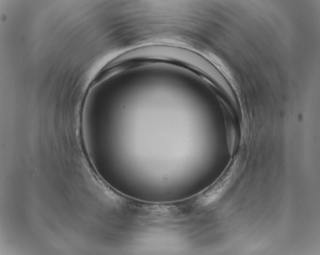 X0000088870862200706081214