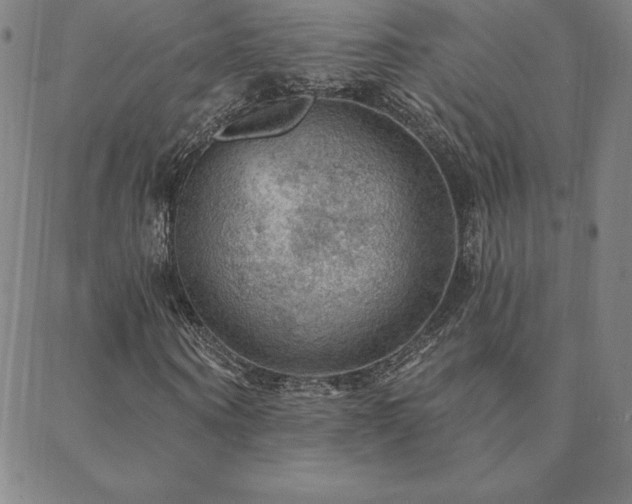 X0000088870866200706081213