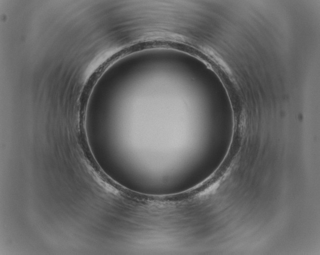 X0000088870877200706081213