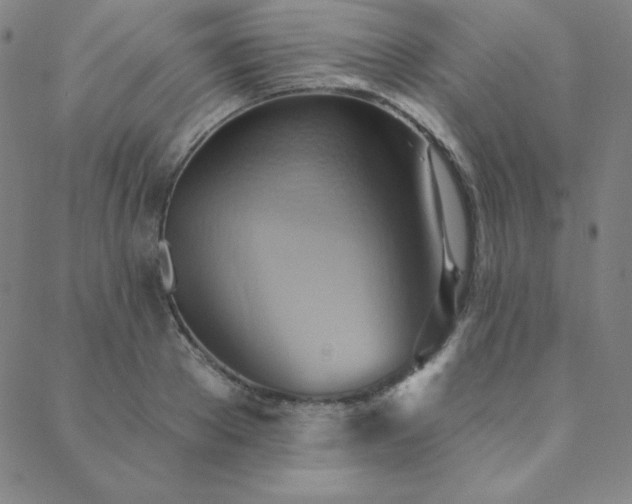X0000088870889200706081213