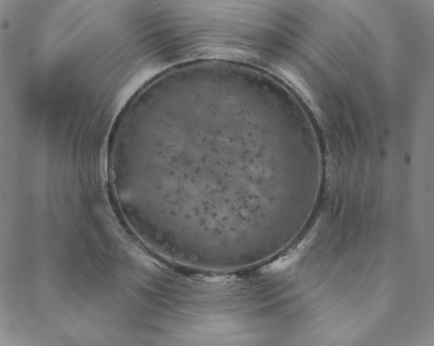 X0000088870891200706081213