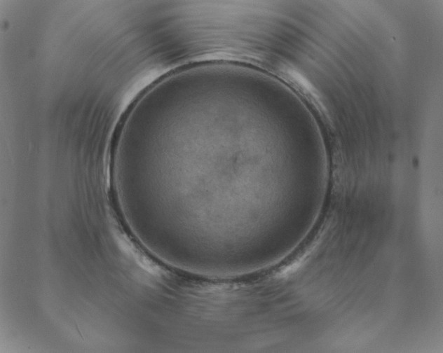 X0000088870892200706081213