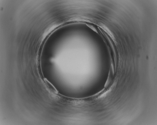 X0000088870893200706081213