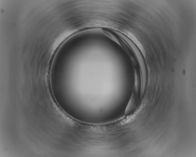 X0000088870901200706081212