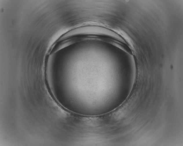 X0000088870902200706081212
