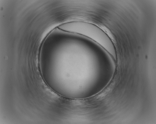 X0000088870904200706081212