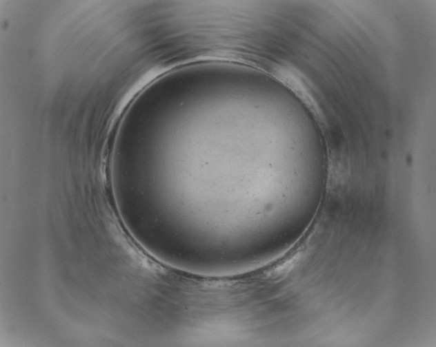 X0000088870908200706081212