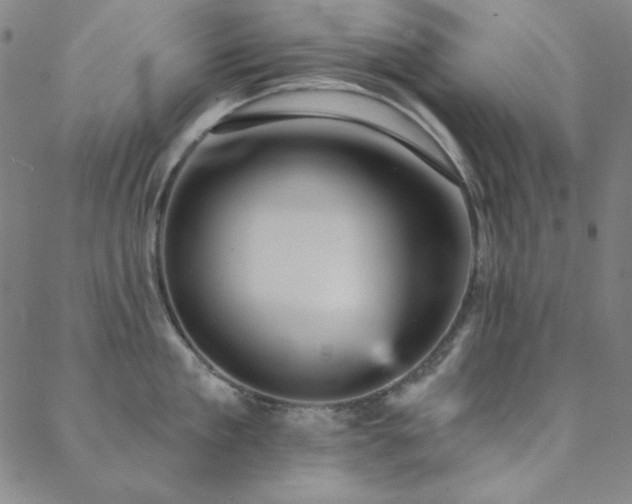 X0000088870909200706081212
