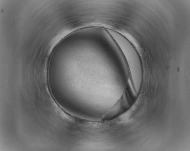 X0000088870910200706081212
